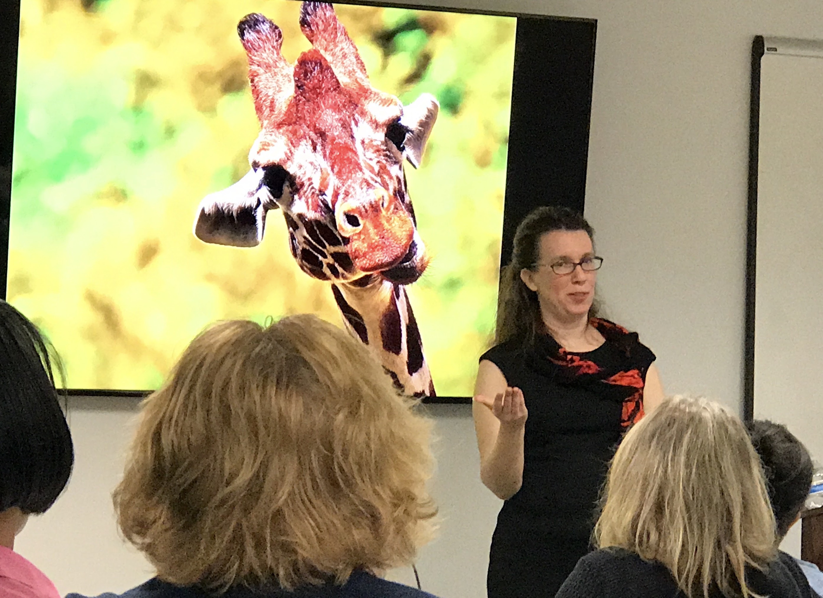 Debbie Finkelstein teaching a workshop to a small group